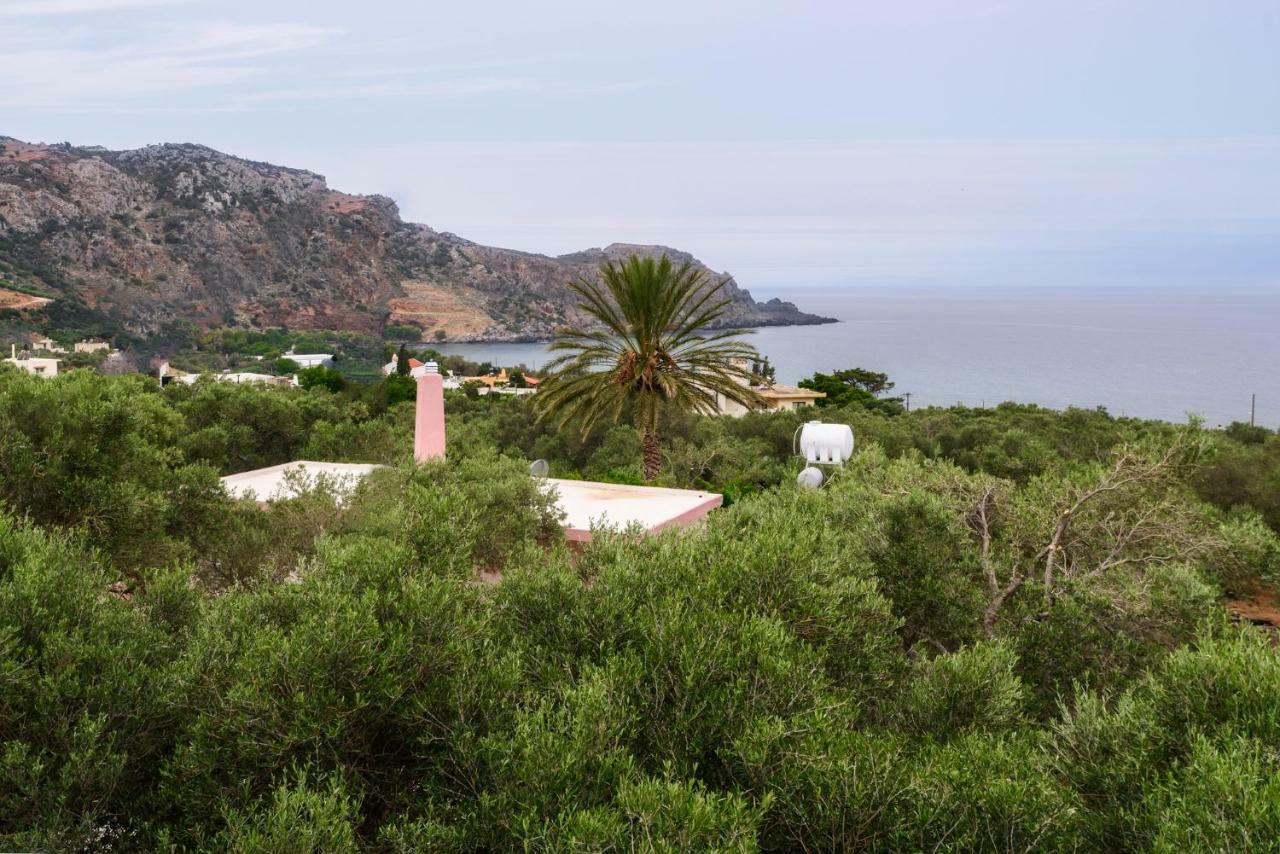 Palm Beach House Sfinárion Exteriér fotografie